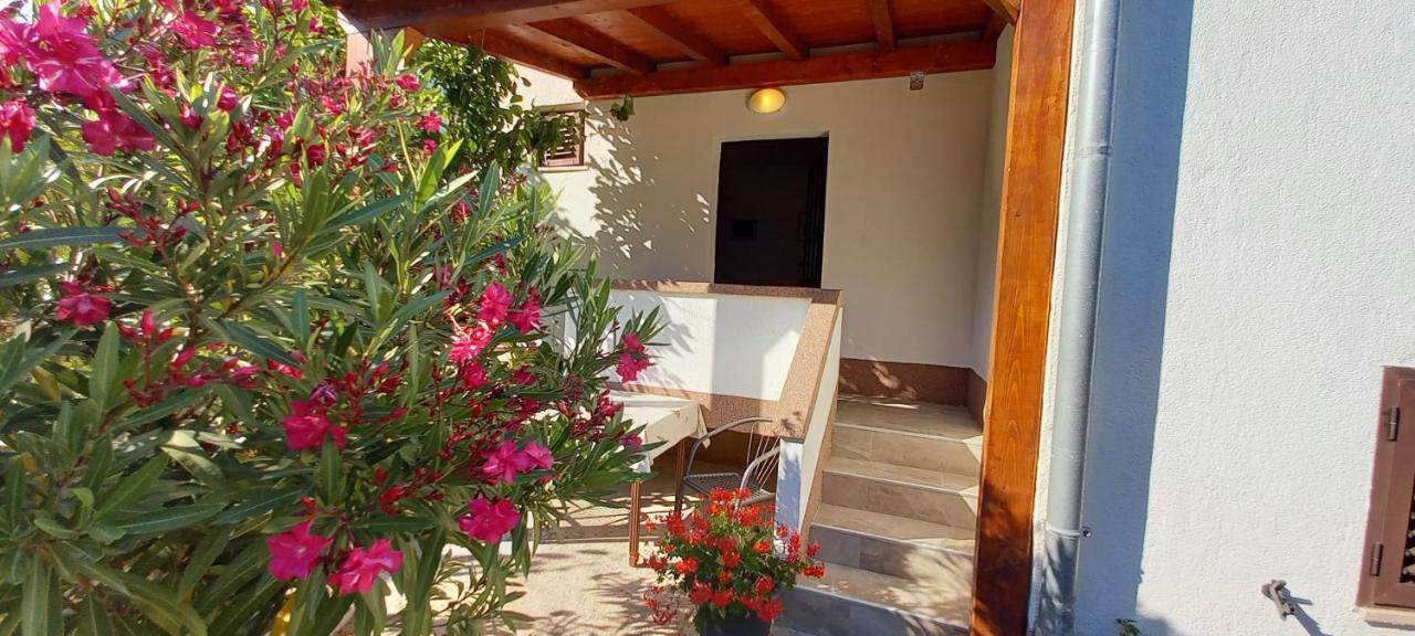 Eco Secluded Apartments Zabodarski Čunski Zewnętrze zdjęcie