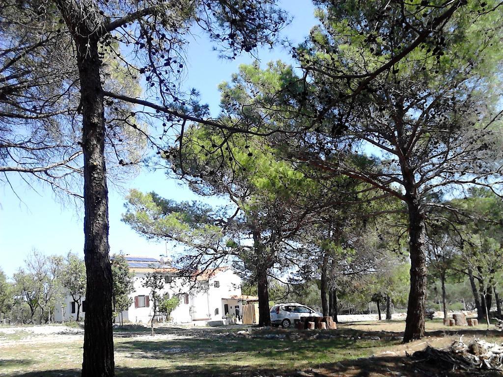 Eco Secluded Apartments Zabodarski Čunski Zewnętrze zdjęcie