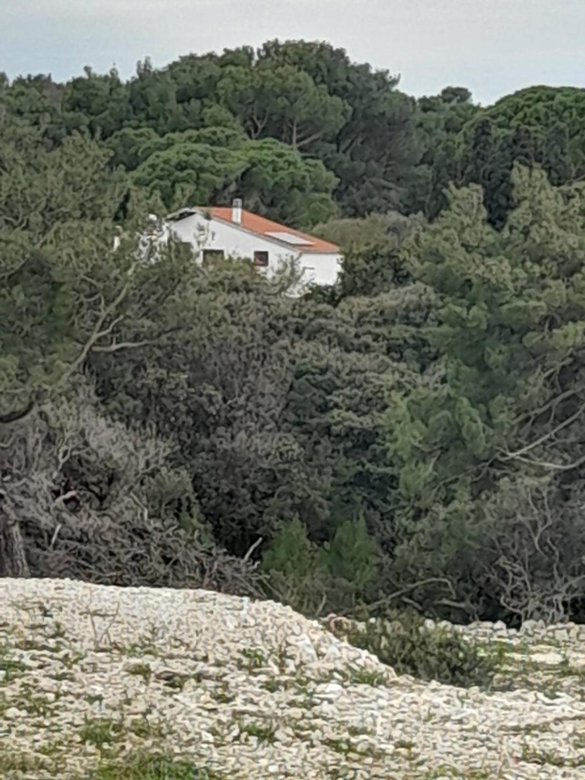 Eco Secluded Apartments Zabodarski Čunski Zewnętrze zdjęcie