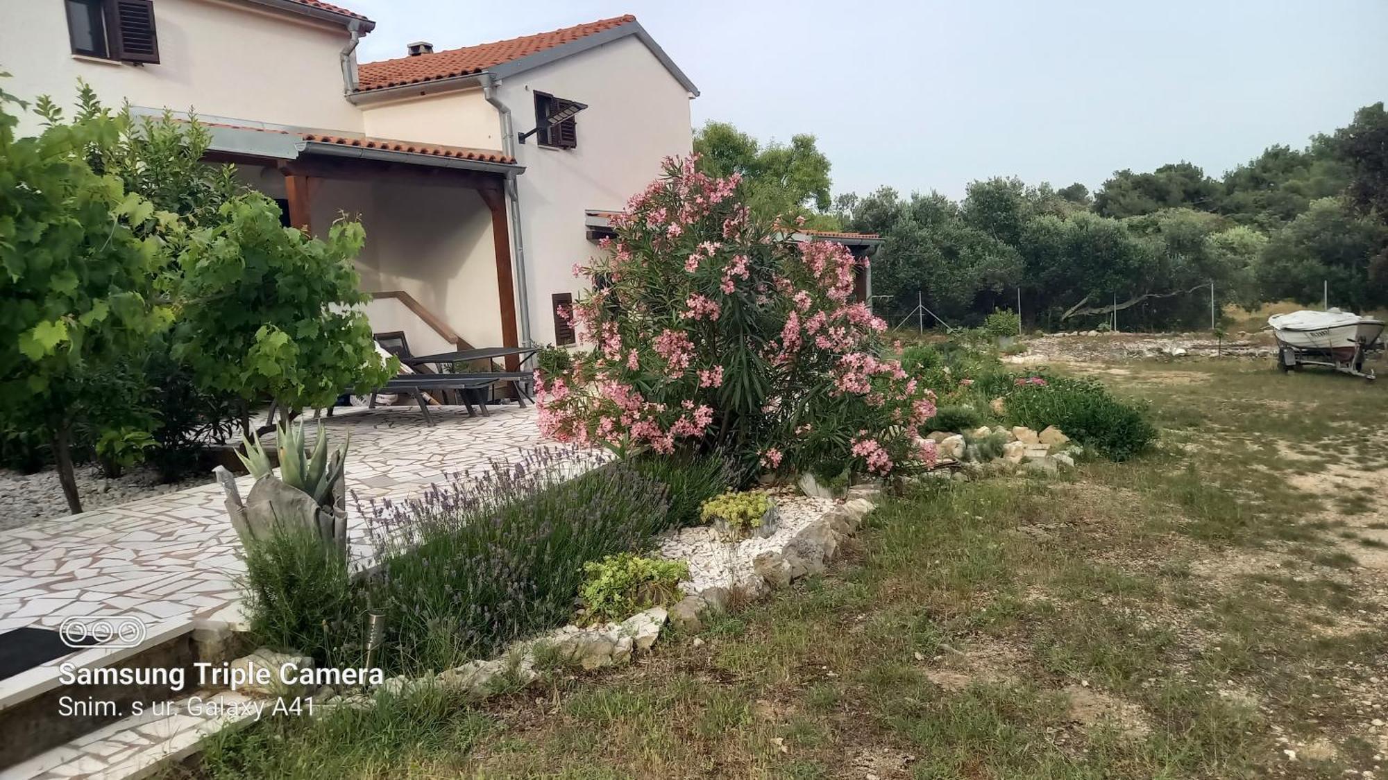 Eco Secluded Apartments Zabodarski Čunski Zewnętrze zdjęcie