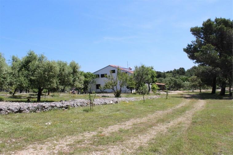 Eco Secluded Apartments Zabodarski Čunski Zewnętrze zdjęcie