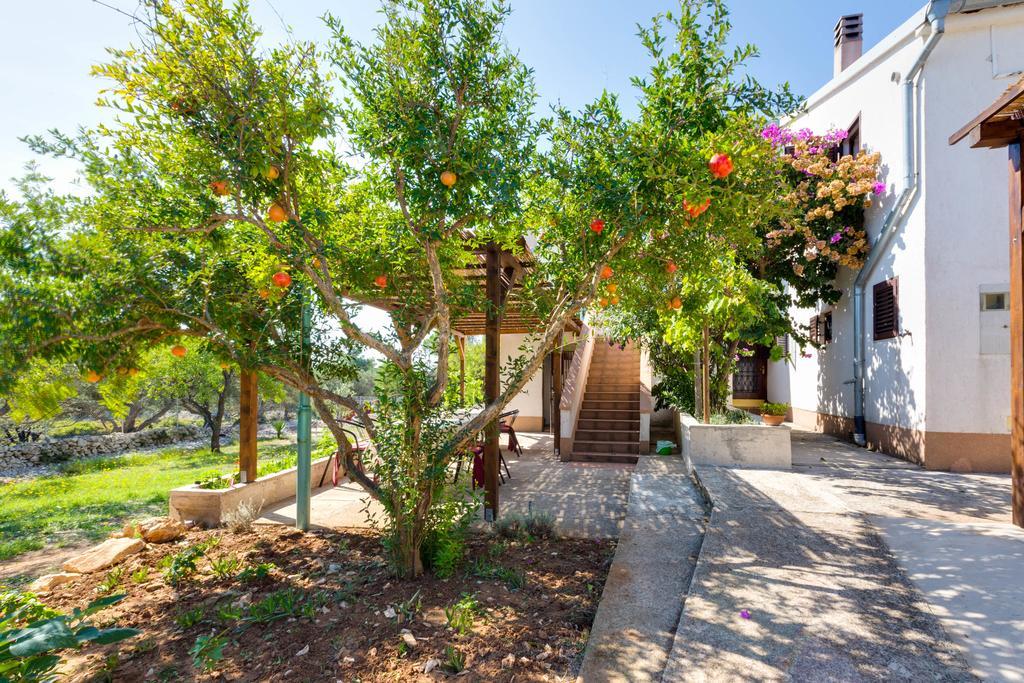 Eco Secluded Apartments Zabodarski Čunski Zewnętrze zdjęcie