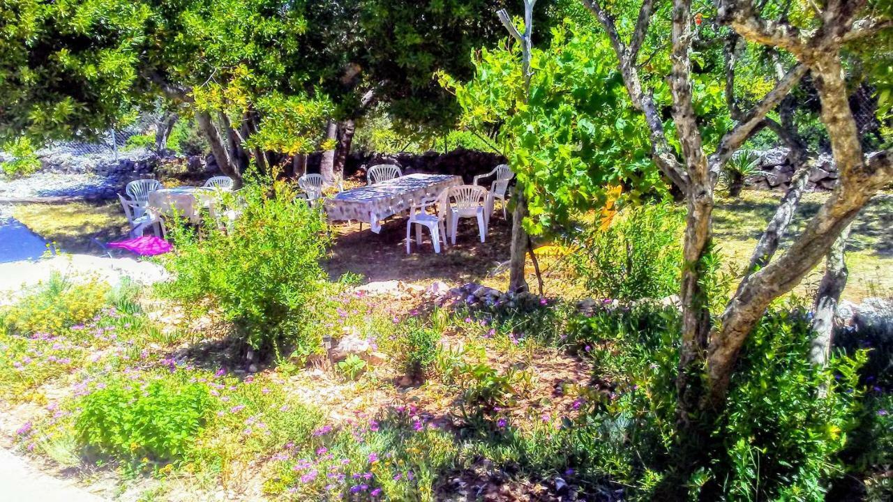 Eco Secluded Apartments Zabodarski Čunski Zewnętrze zdjęcie